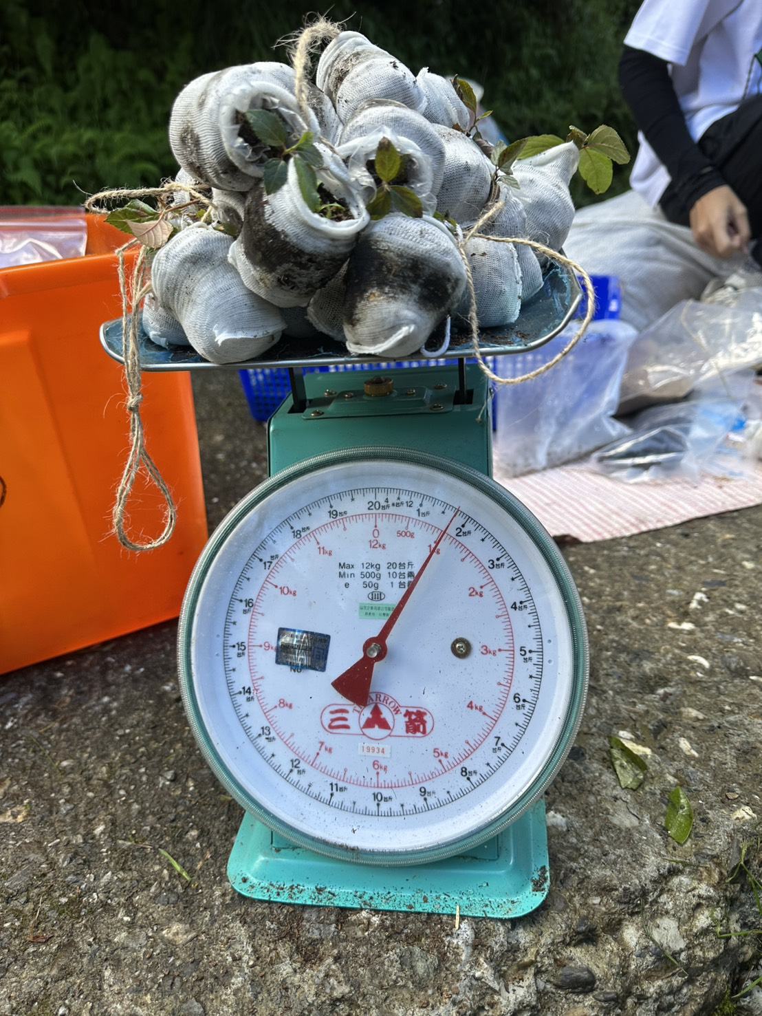 無人機空投種子救馬太鞍溪崩塌地!但該投什麼種子?怎麼投?——專訪林保署花蓮分署